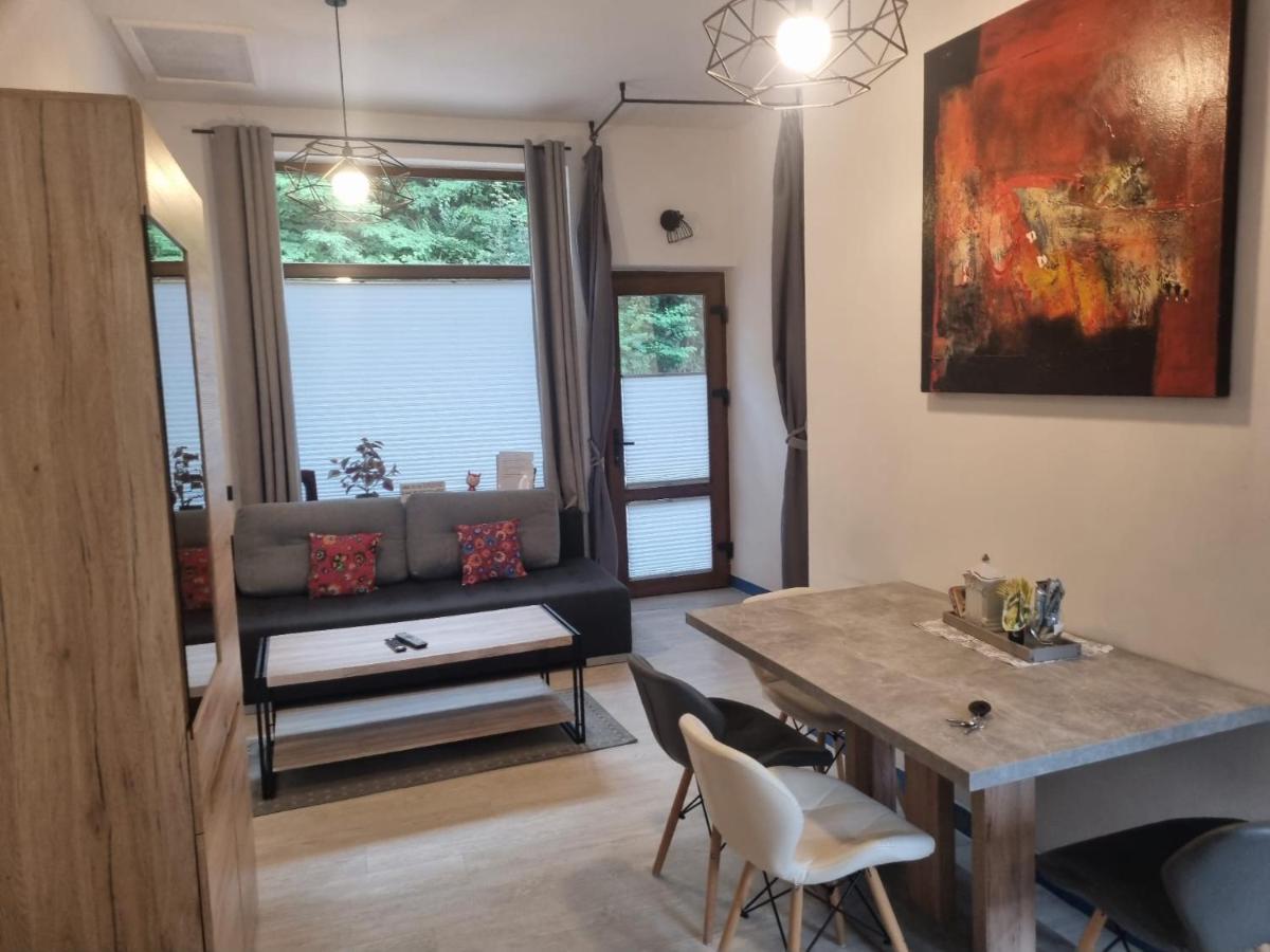 Borys Garaz Na Rowery I Narty Apartmán *